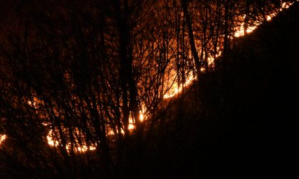 Incendio in Alto Lago "devastante" per la Coldiretti: si teme per gli animali al pascolo