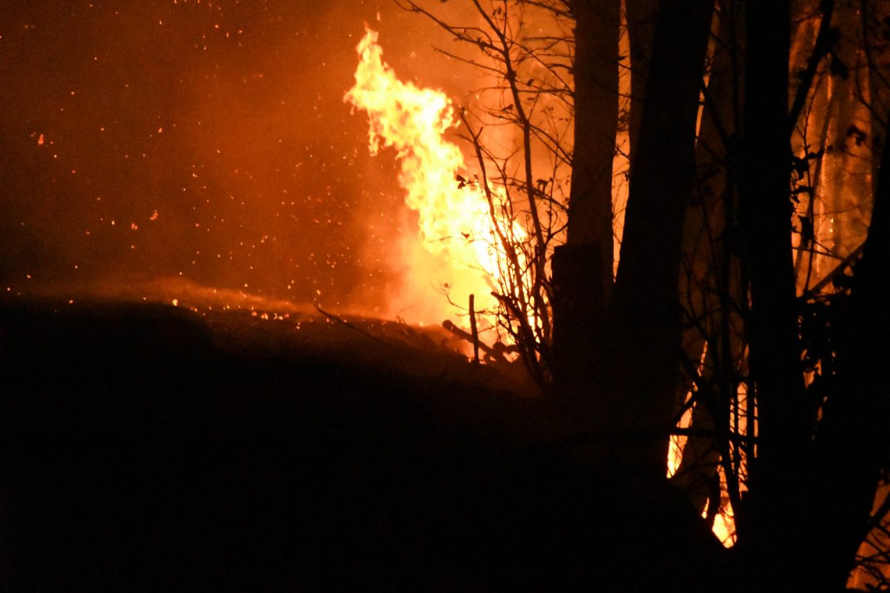 Allerta incendi boschivi, ecco la cartina delle zone più a rischio