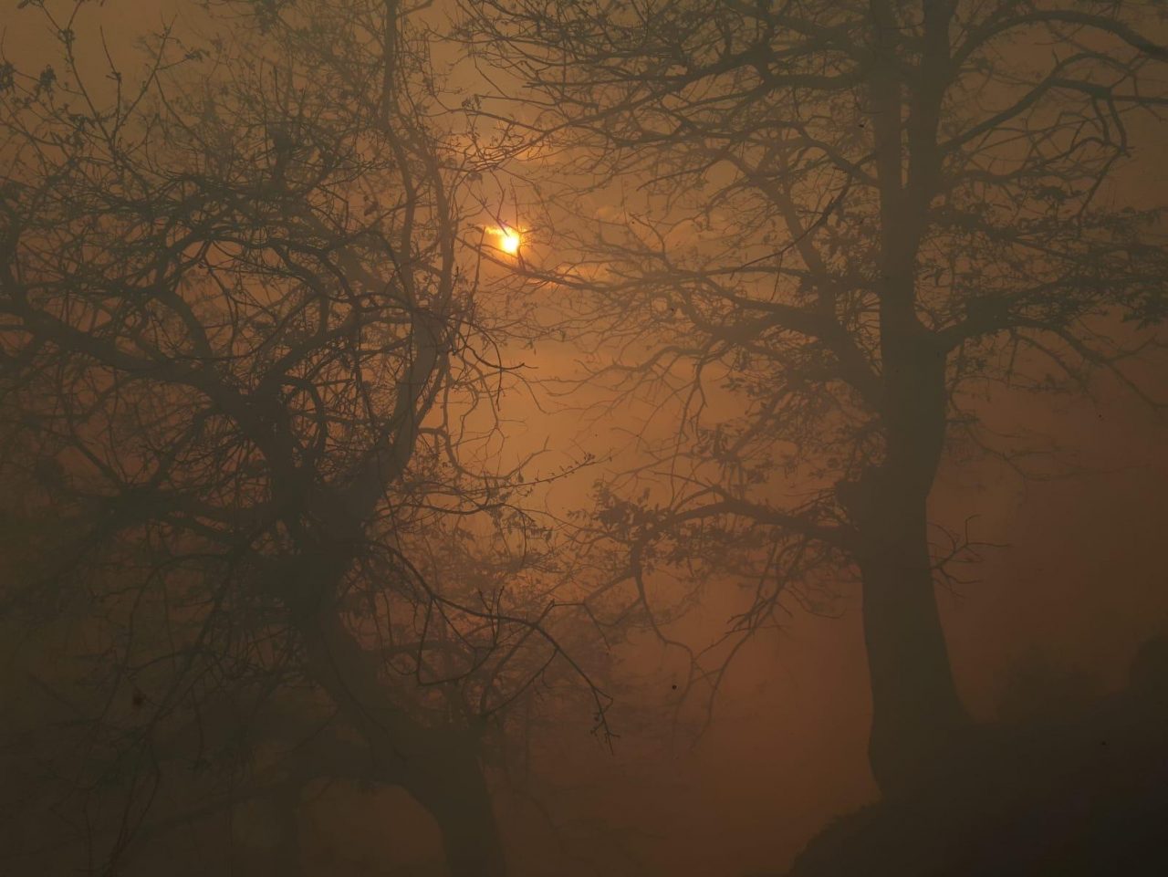 Incendio a Montemezzo: ustionato un uomo, diversi intossicati dal fumo