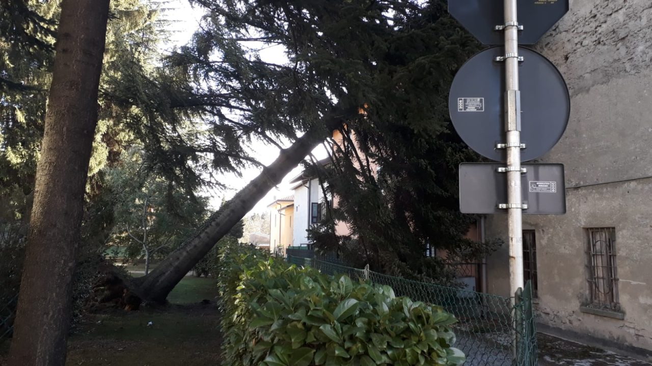 Vento forte e tanti danni nel Comasco: tavolini volanti e alberi caduti FOTO E VIDEO
