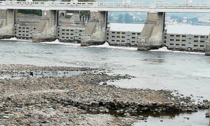 Il Lago basso preoccupa: politici "dei due rami" in campo per il bene del Lario