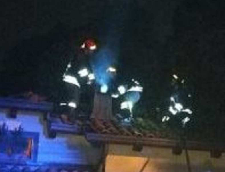 Cane eroe: abbaia e salva il tetto dall’incendio STORIE SOTTO L’ALBERO