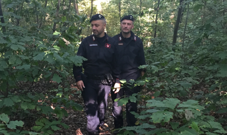 Fitta rete di spaccio nei boschi di Locate Varesino