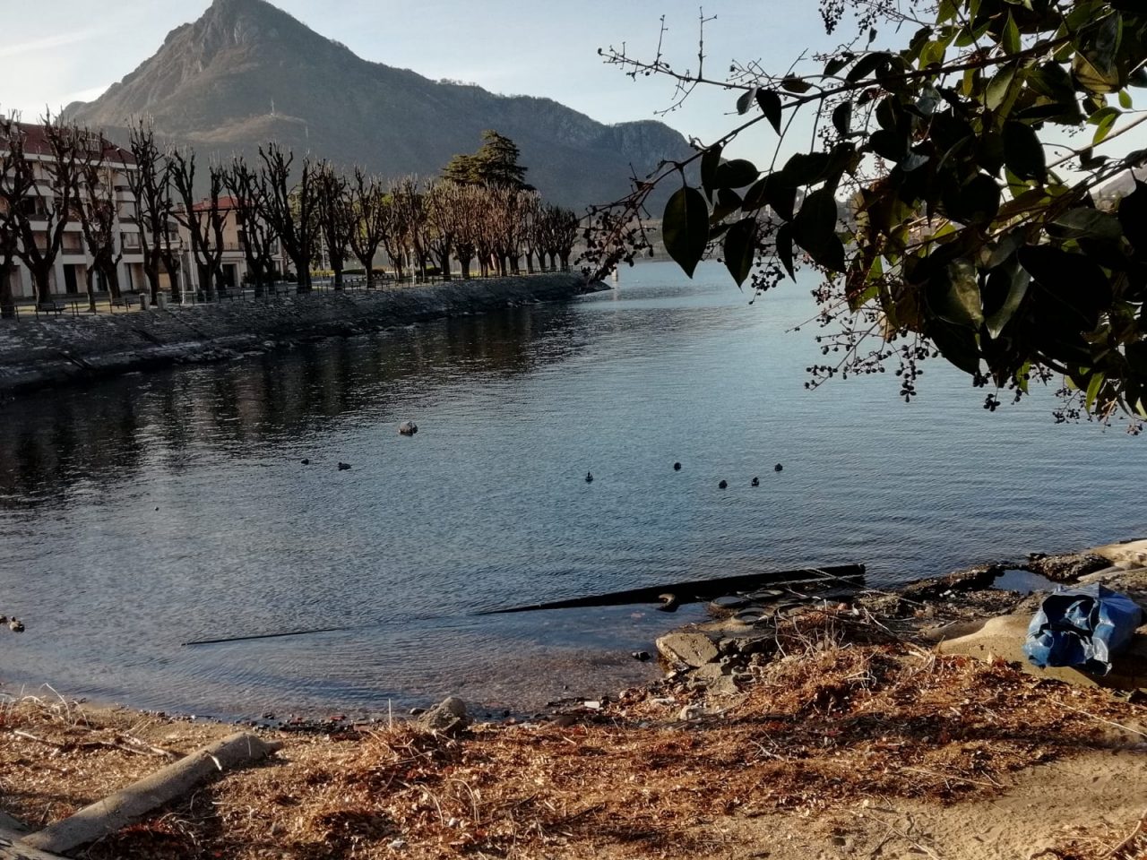 Movimento Cinque Stelle: “La Lombardia si mobiliti per il lago di Como”