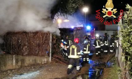 Incendio a Domaso: in fiamme l'azienda florovivaistica. Pompieri anche a Lomazzo FOTO