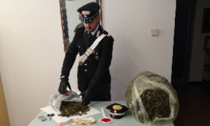 A Lurago d'Erba sequestrati 13 chilogrammi di marijuana