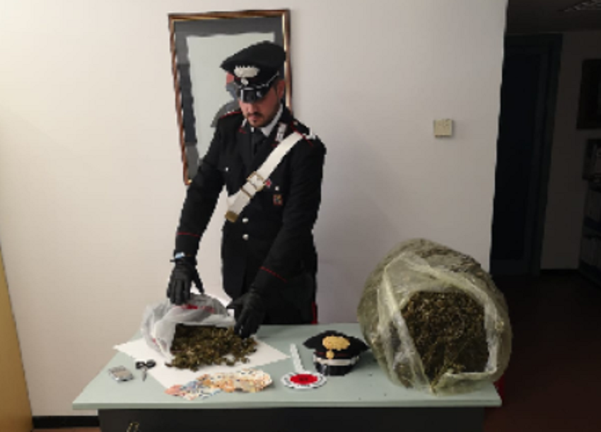 A Lurago d’Erba sequestrati 13 chilogrammi di marijuana