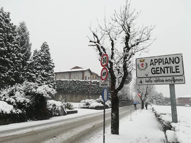 Appiano-Gentile