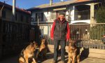 Fausto "balla coi lupi", addestrati anche per ricerche e terremoti VIDEO