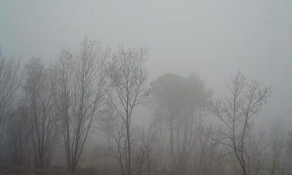 Tempo stabile fino a venerdì: aumentano nebbie e smog PREVISIONI METEO