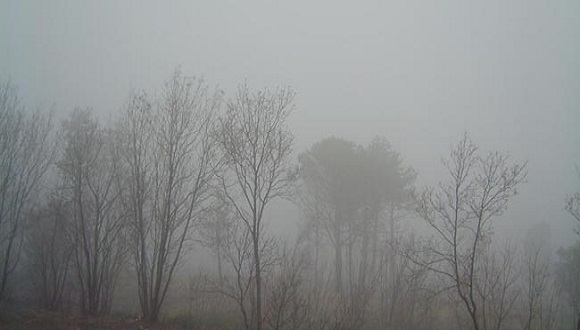 Tempo stabile fino a venerdì: aumentano nebbie e smog PREVISIONI METEO