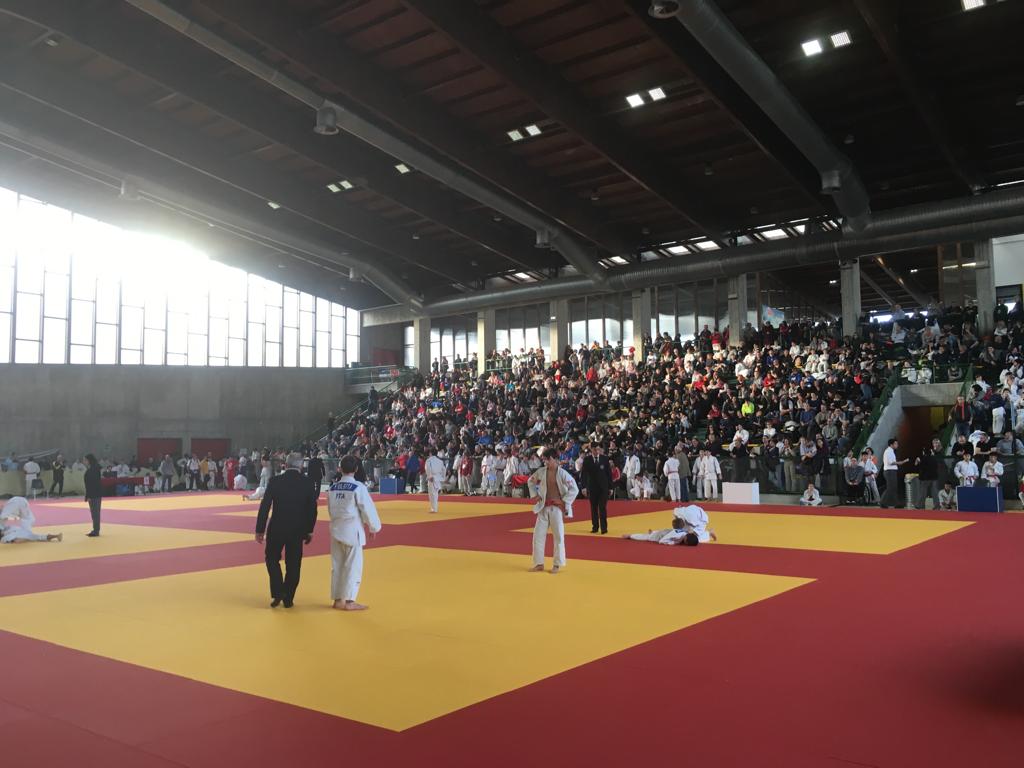 sankaku judo