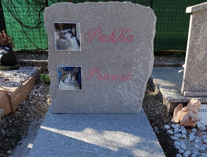 San Valentino, il regalo è una tomba per le amate gatte