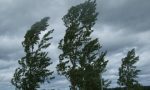 Vento forte e incendi boschivi: allerta meteo nel Comasco