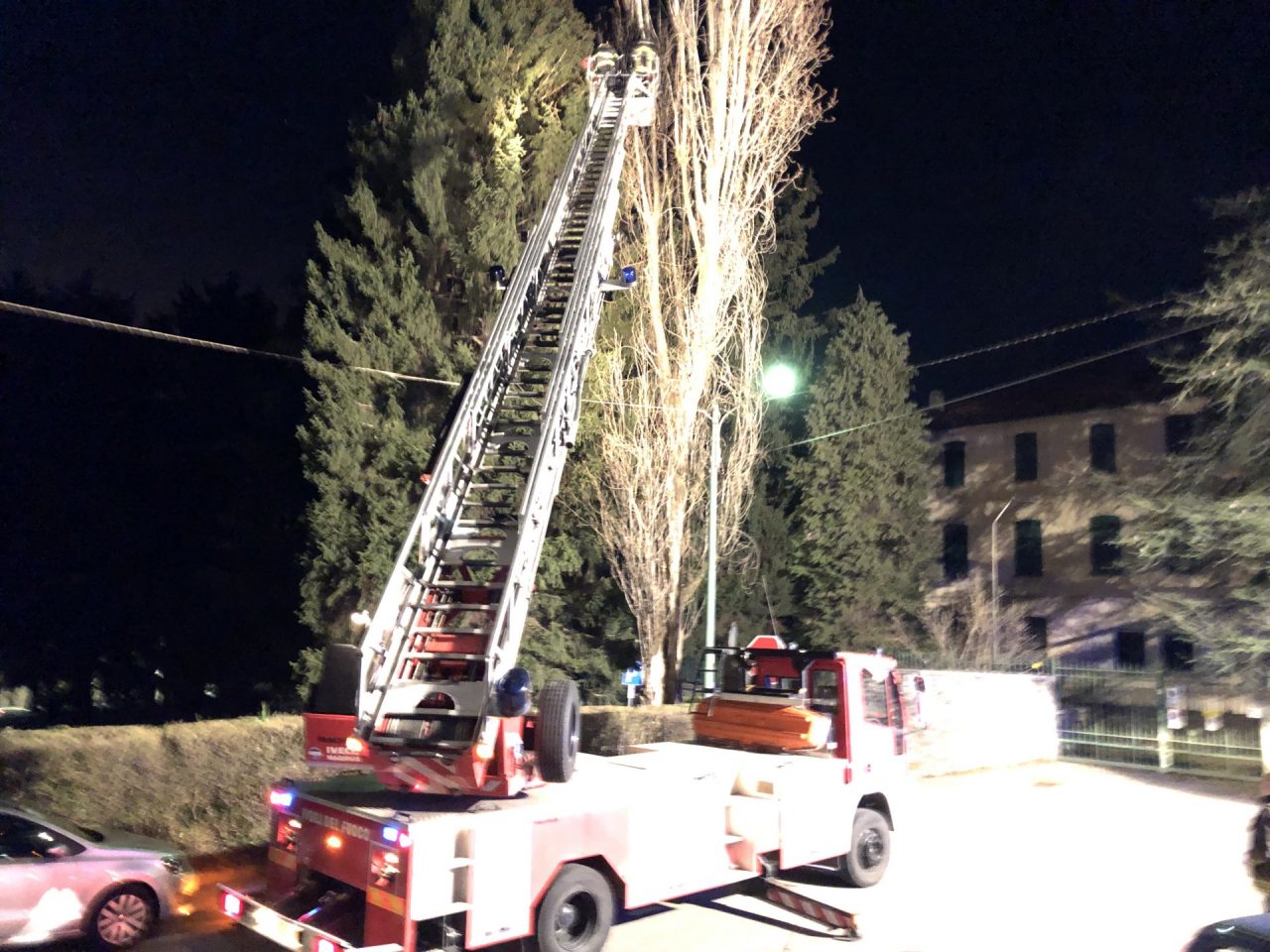 La crepa nell’albero pericolante si allarga VIDEO