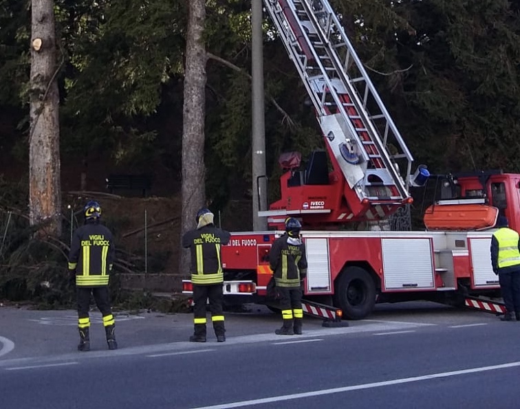 Albero pericolante a Binago, intervengono i Vigili del fuoco