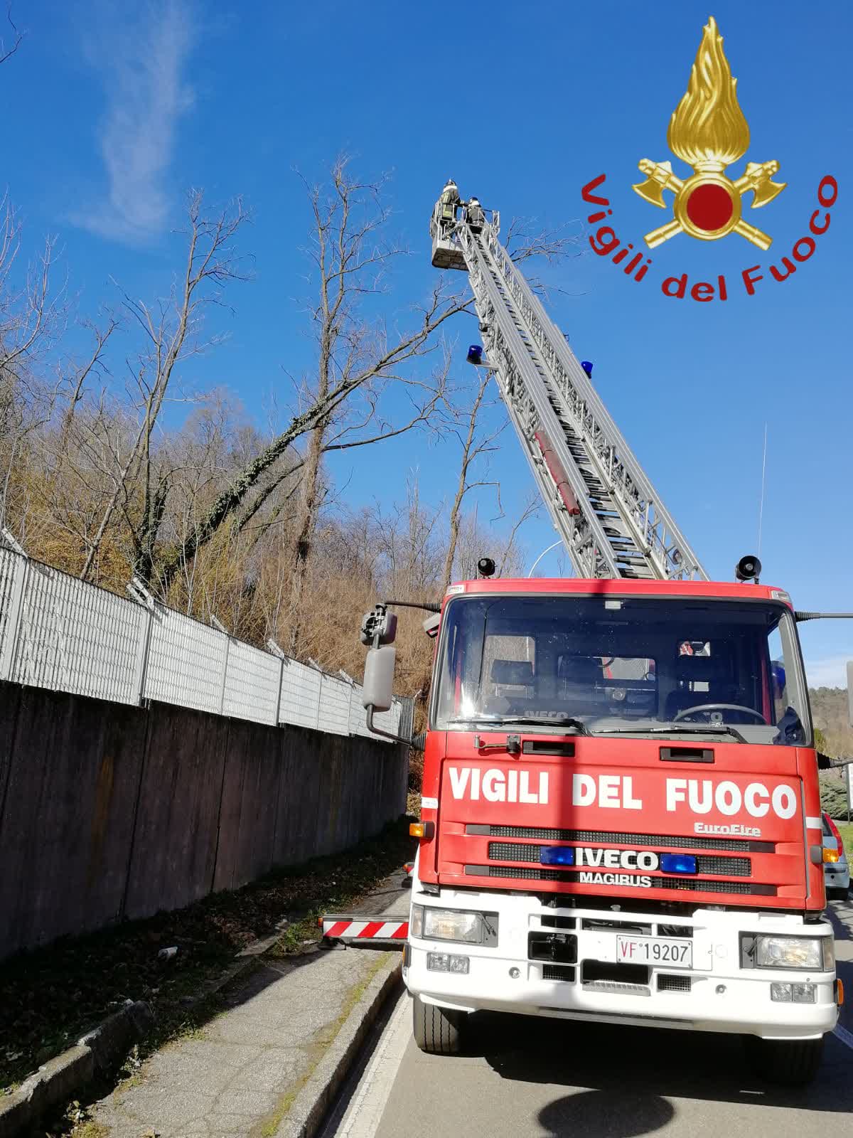 Vigili del fuoco (1)