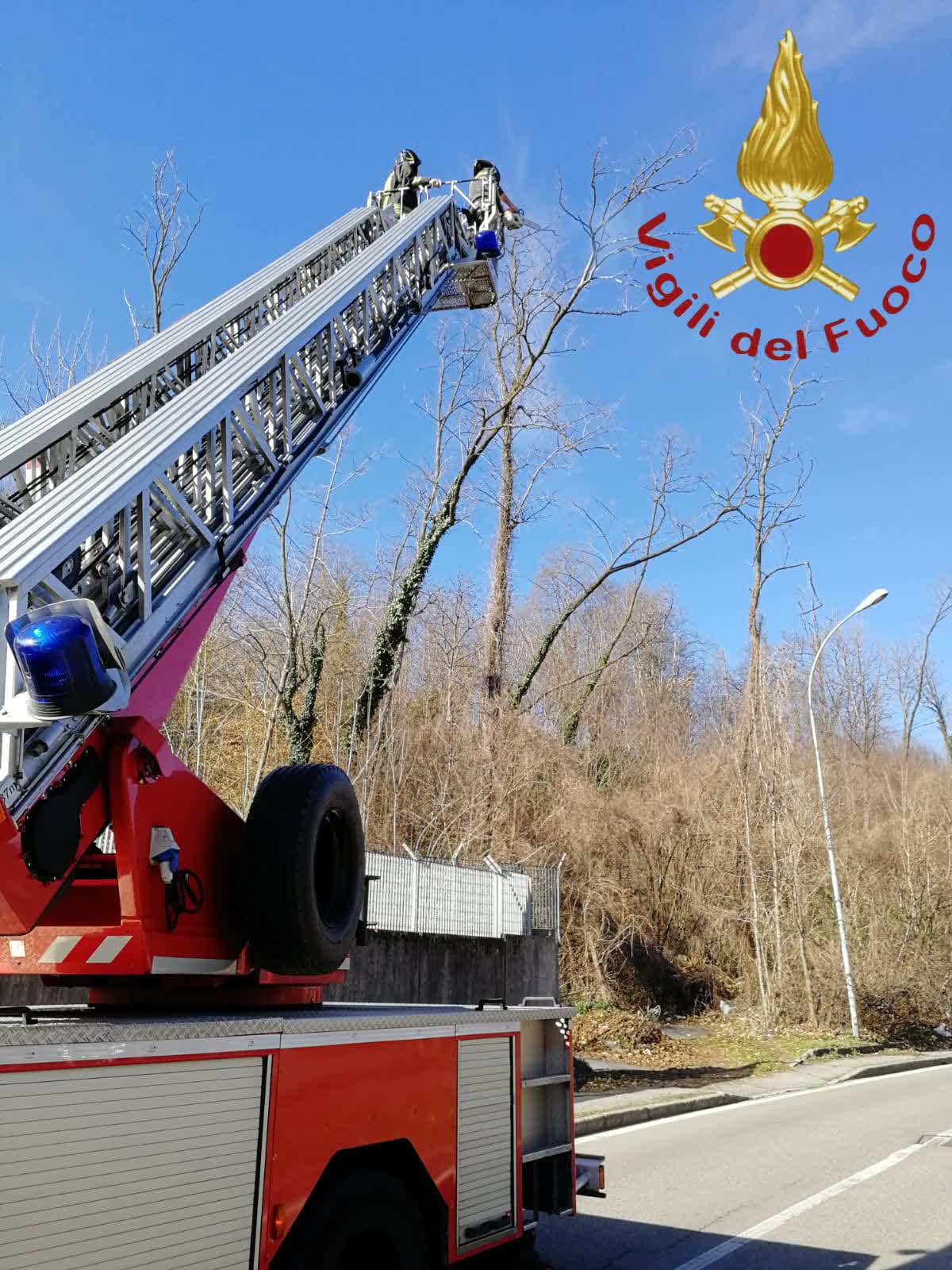 Vigili del fuoco (3)