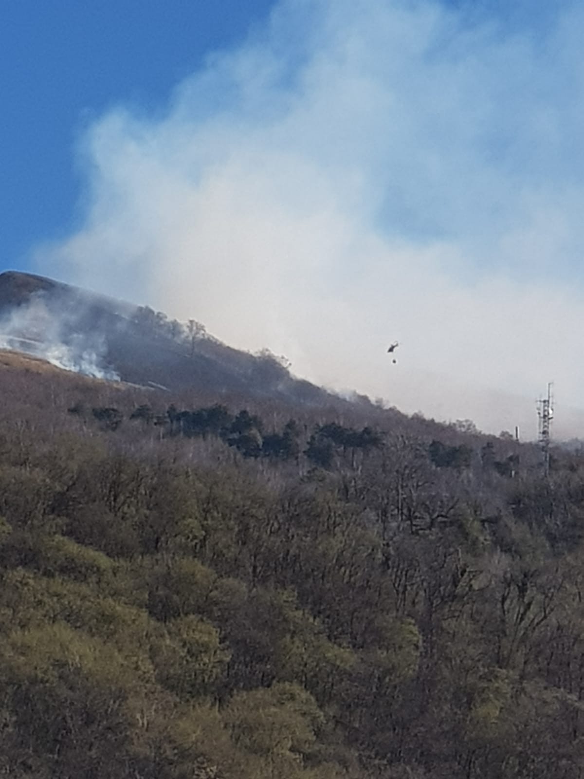 Incendio al Cornizzolo