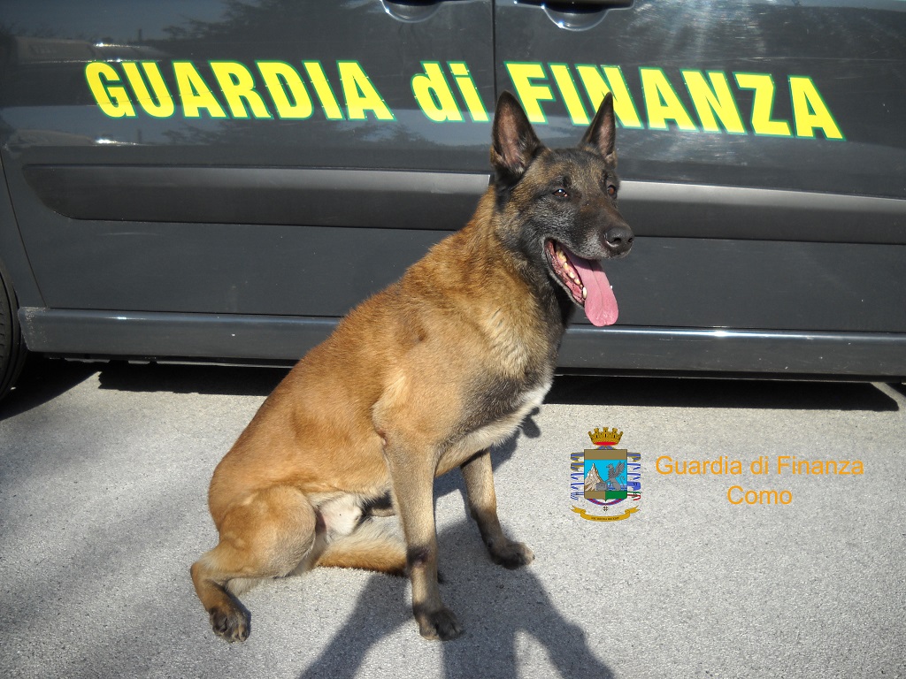 Sequestrati 6 chili di eroina al valico di Como Brogeda FOTO E VIDEO