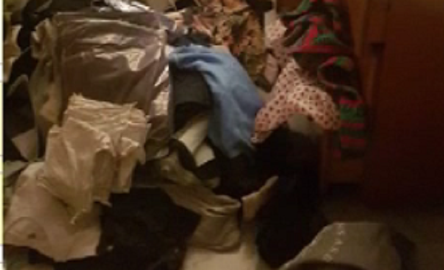 Ladri senza pietà picchiano il cane