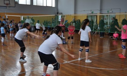 Albese Volley, due giornate di prove aperte di minivolley con la CS Alba