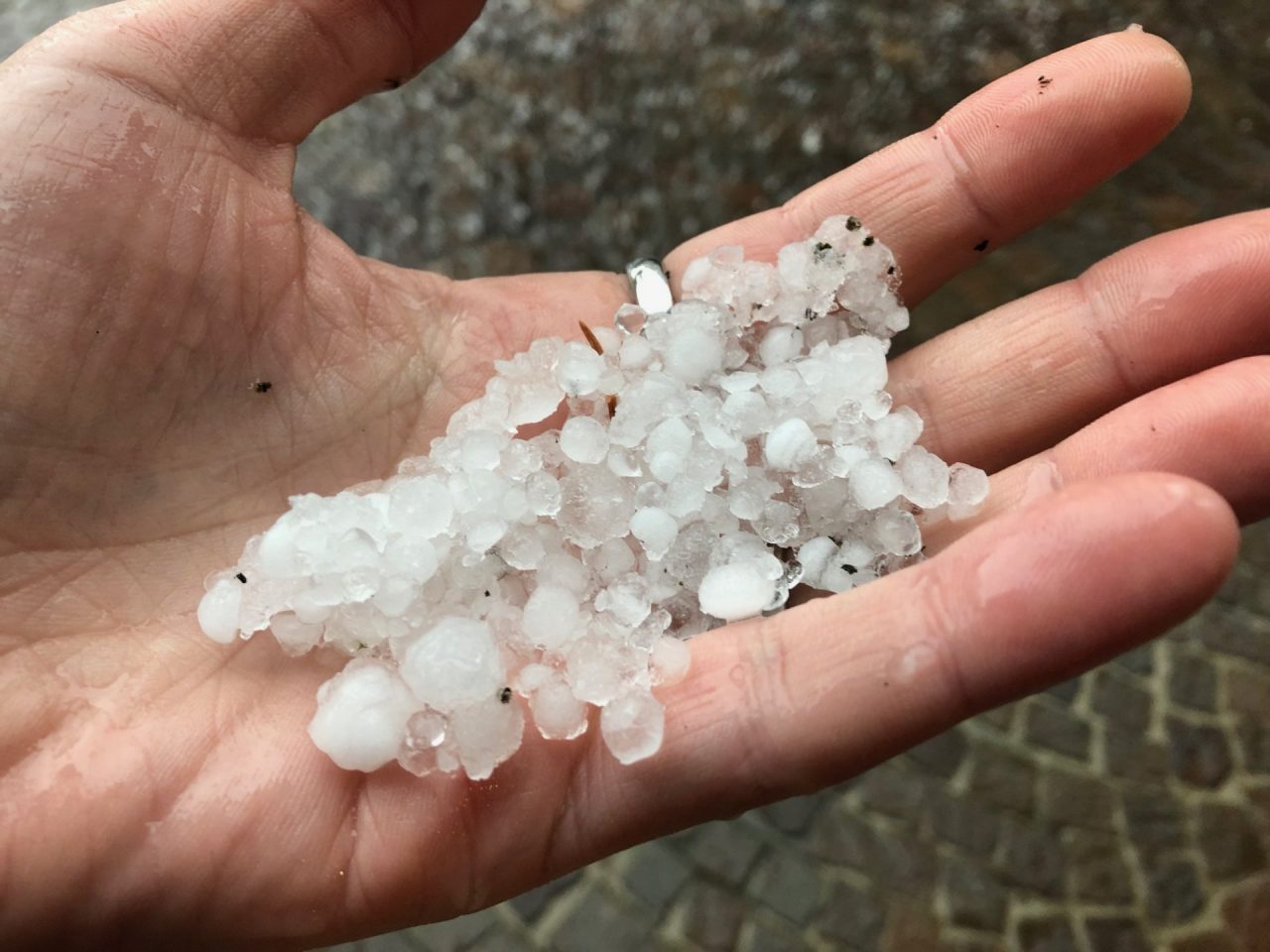 Intensa grandinata nell’Olgiatese FOTO e VIDEO