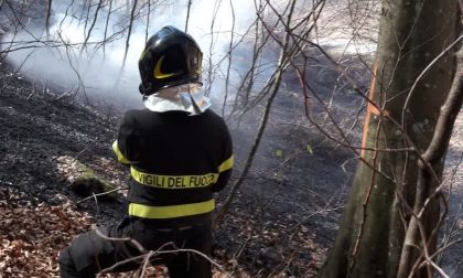 Incendio boschivo a Cusino FOTO