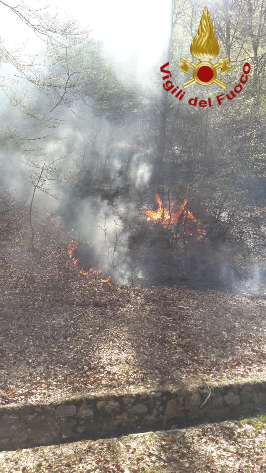Incendio Cusino (3)