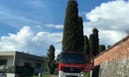 Cade dall'albero: morto un uomo a Olgiate