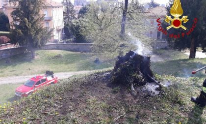 Incendio al parco di Villa Argenti a Cantù
