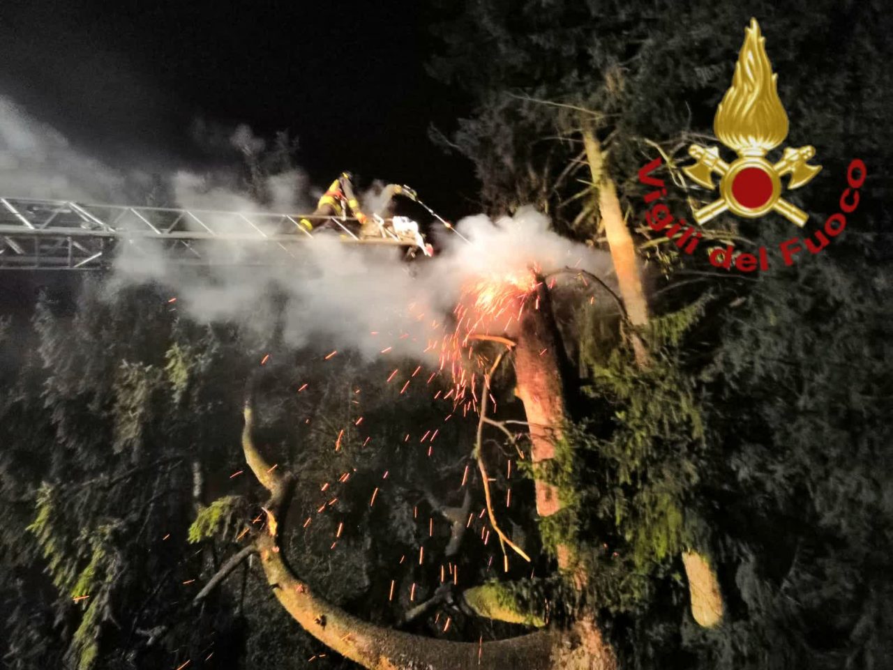 Abete secolare in fiamme: l’ha colpito un fulmine FOTO