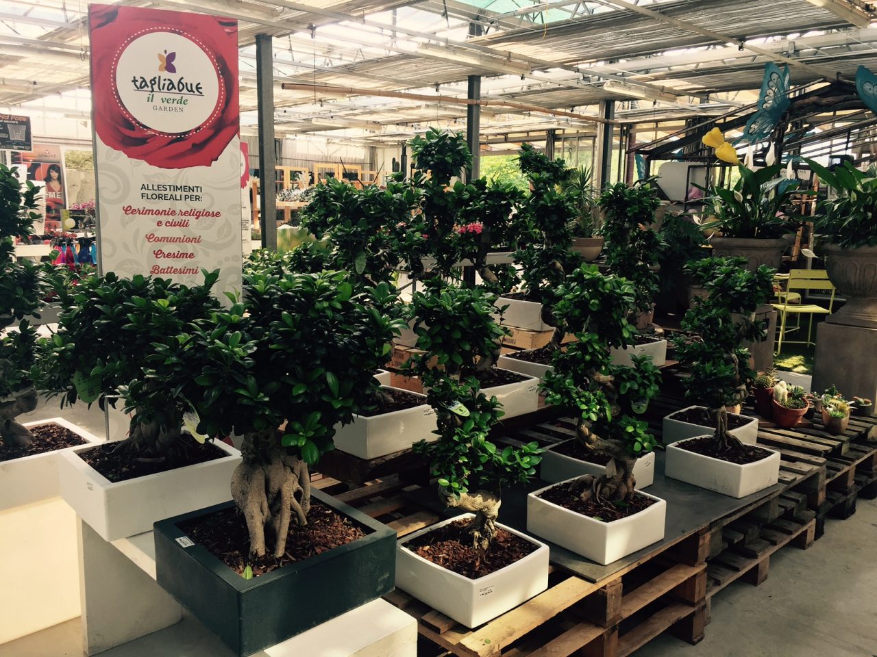 Primavera, è tempo di far sbocciare orti e giardini