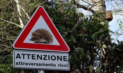 Attraversamento ricci,  cartelli di avviso ad Appiano