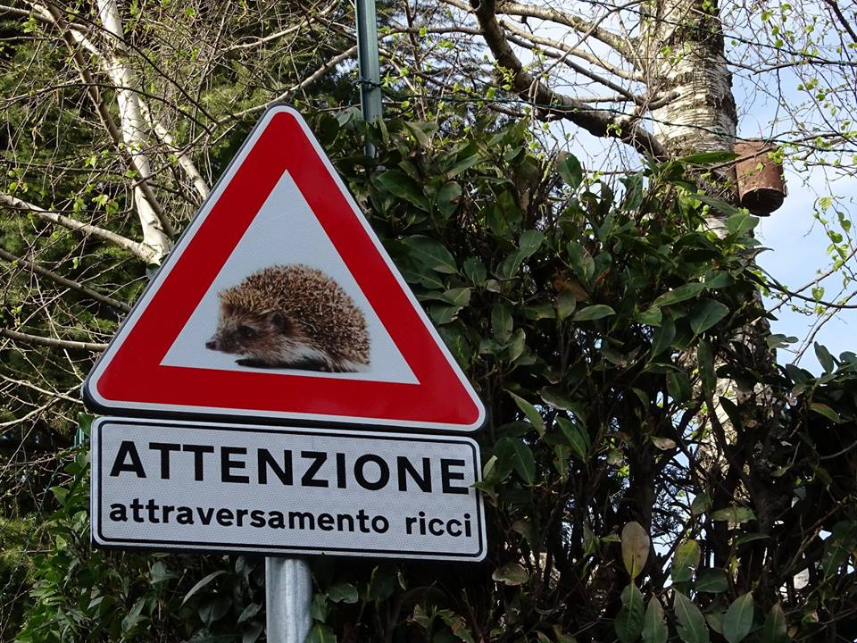 Attraversamento ricci,  cartelli di avviso ad Appiano