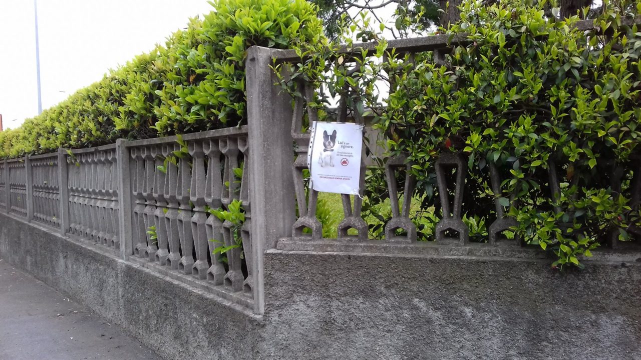 Degrado Vighizzolo residenti contro i padroni dei cani