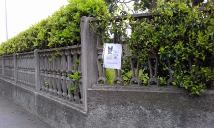 Degrado Vighizzolo residenti contro i padroni dei cani
