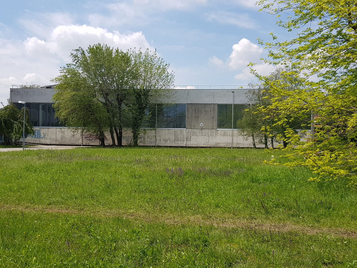 Senza palestra per quasi l’intera annata scolastica