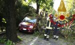 Albero cade in via San Fermo. Caos traffico, nel pomeriggio senso unico alternato