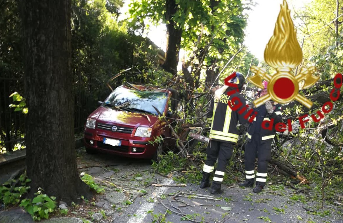 Albero cade in via San Fermo. Caos traffico, nel pomeriggio senso unico alternato