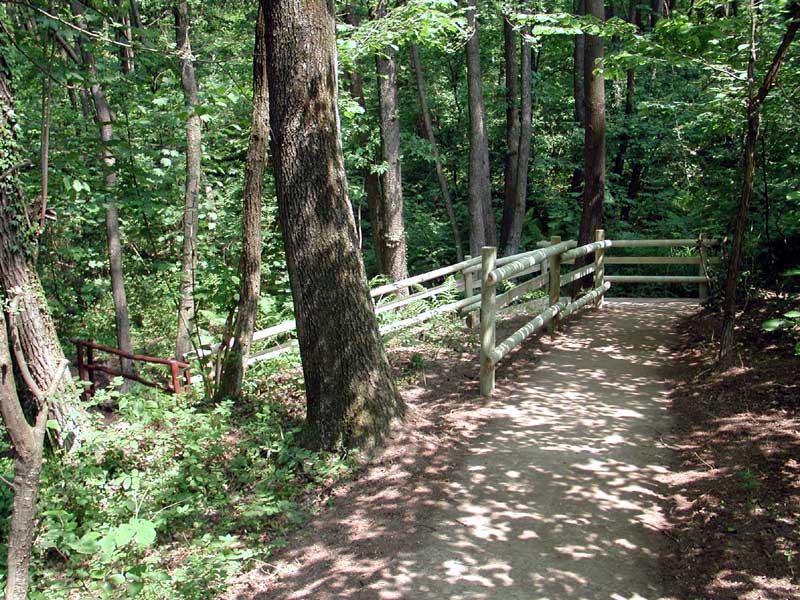 Celti a Como, escursione serale con l’archeologo