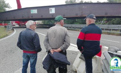 Anche Konrad il Brianzolo al Ponte di Annone con gli... umarell VIDEO