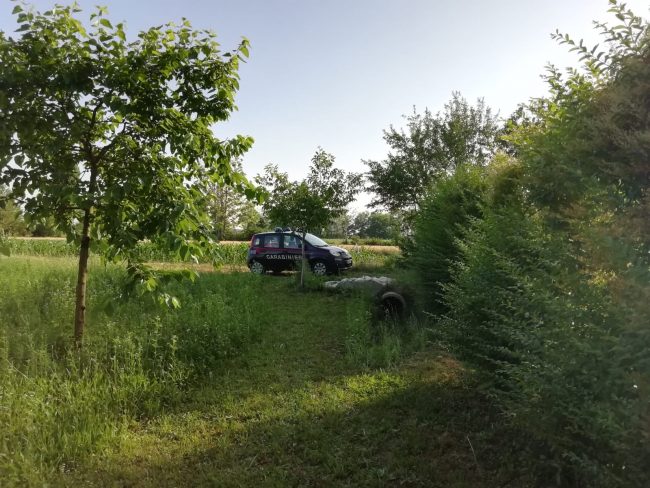 Precipita aereo ultraleggero, c’è un morto in provincia di Bergamo