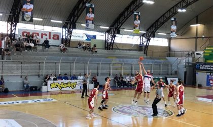 Basket C Gold stasera la bella salvezza Gorla Cantù-Le Bocce Erba