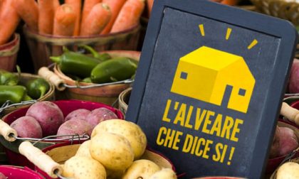L'Alveare che dice sì! per prodotti a kilometro 0 arriva a Como