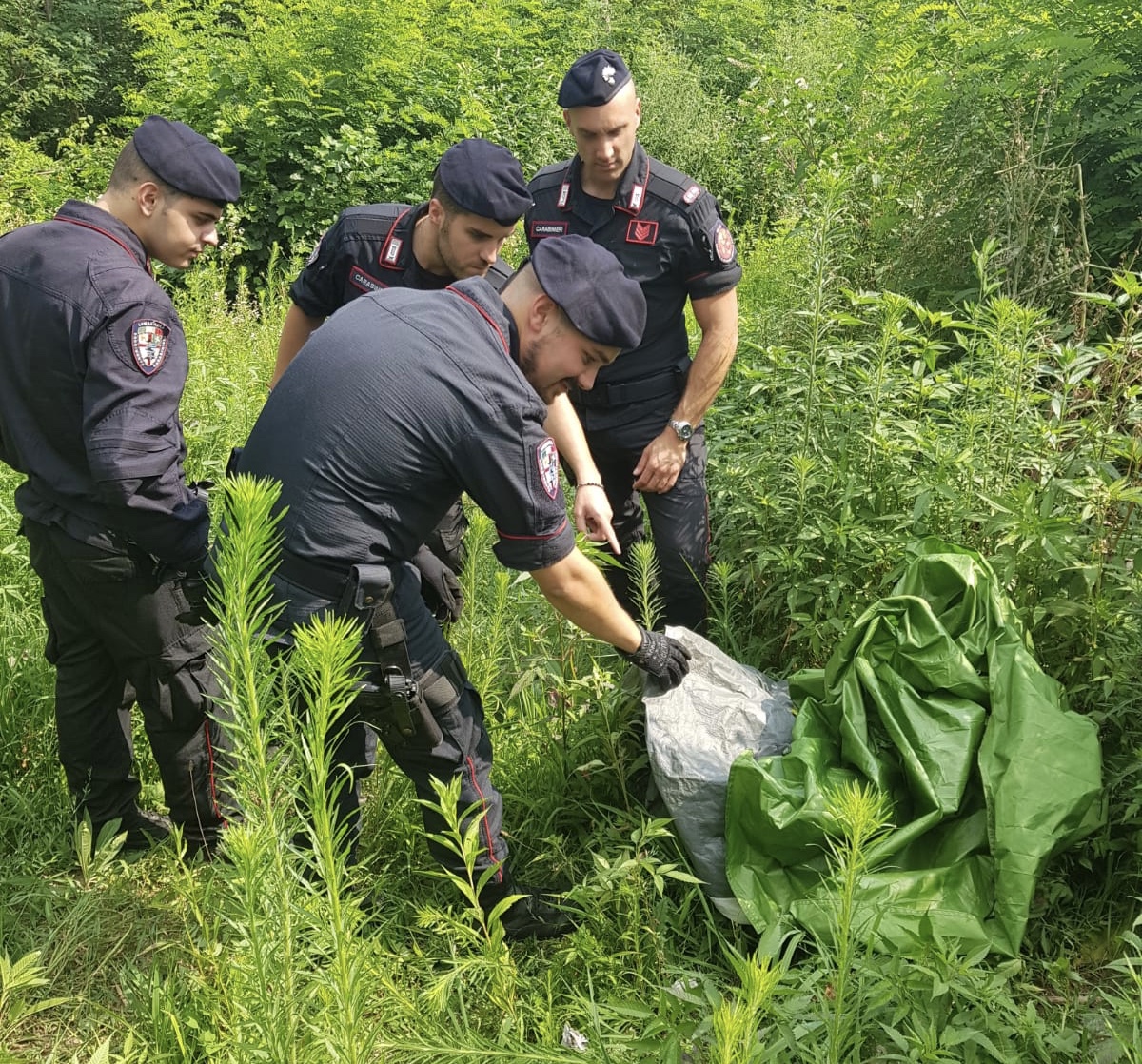 Blitz nei boschi contro lo spaccio a Montano Lucino