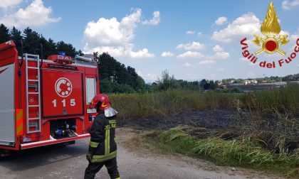 Vegetazione in fiamme nei pressi della strada provinciale 27