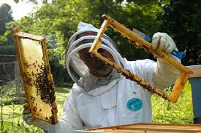 Con Slow Food si vive anche la fine dell’estate