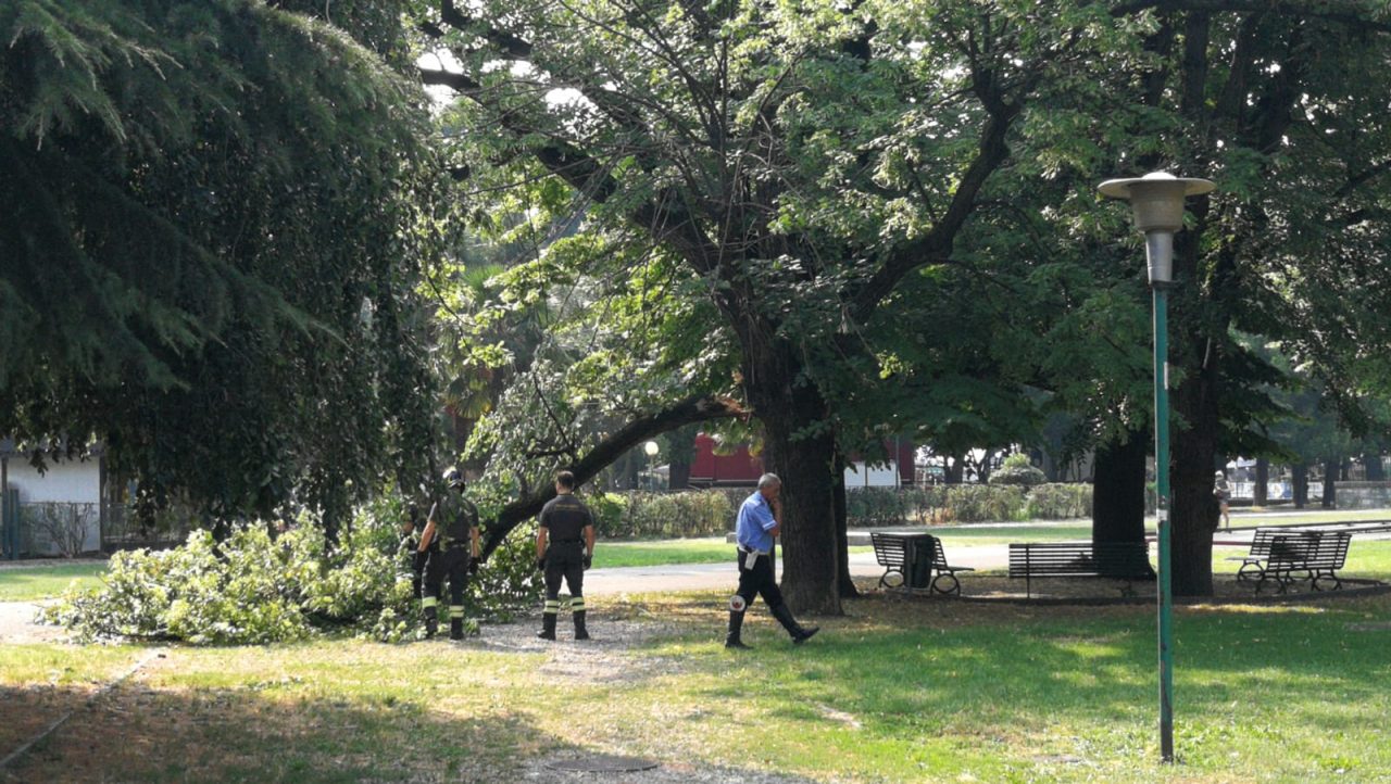 Giardini a lago cade il ramo di un albero FOTO
