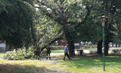 Giardini a lago cade il ramo di un albero FOTO